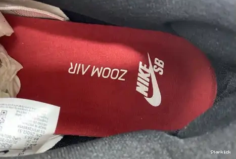 SB BQ6817-600 J-Pack Low Dunk Nike Chicago 0517